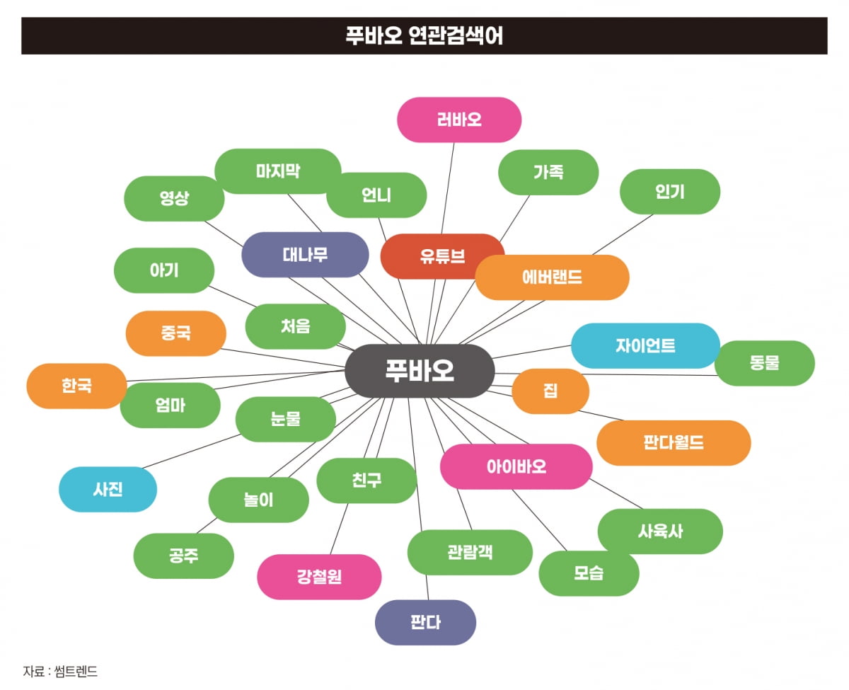 “굿바이 푸바오” 그 판다가 우리에게 남긴 메시지는 