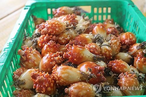 [#핫플콕콕] 바다 보며 즐기는 맛과 멋…남해안 휴양지 거제·통영