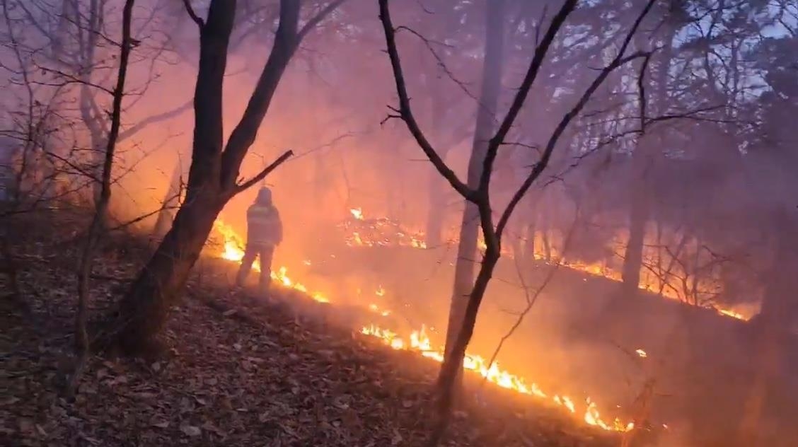 인천 왕길동 야산 화재 29분 만에 진화…약 1천600㎡ 소실