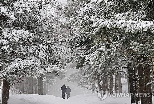 강원 내륙·산지 1∼5㎝ 눈…낮 최고기온 8도