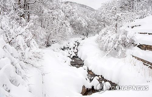 강원 중부 산지·북부 산지에 대설주의보