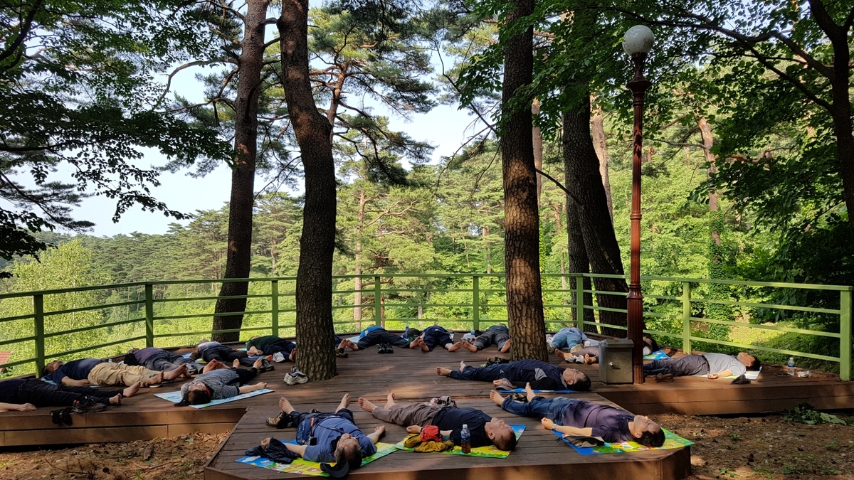 경관 좋은 자연휴양림에서 힐링·체험하세요