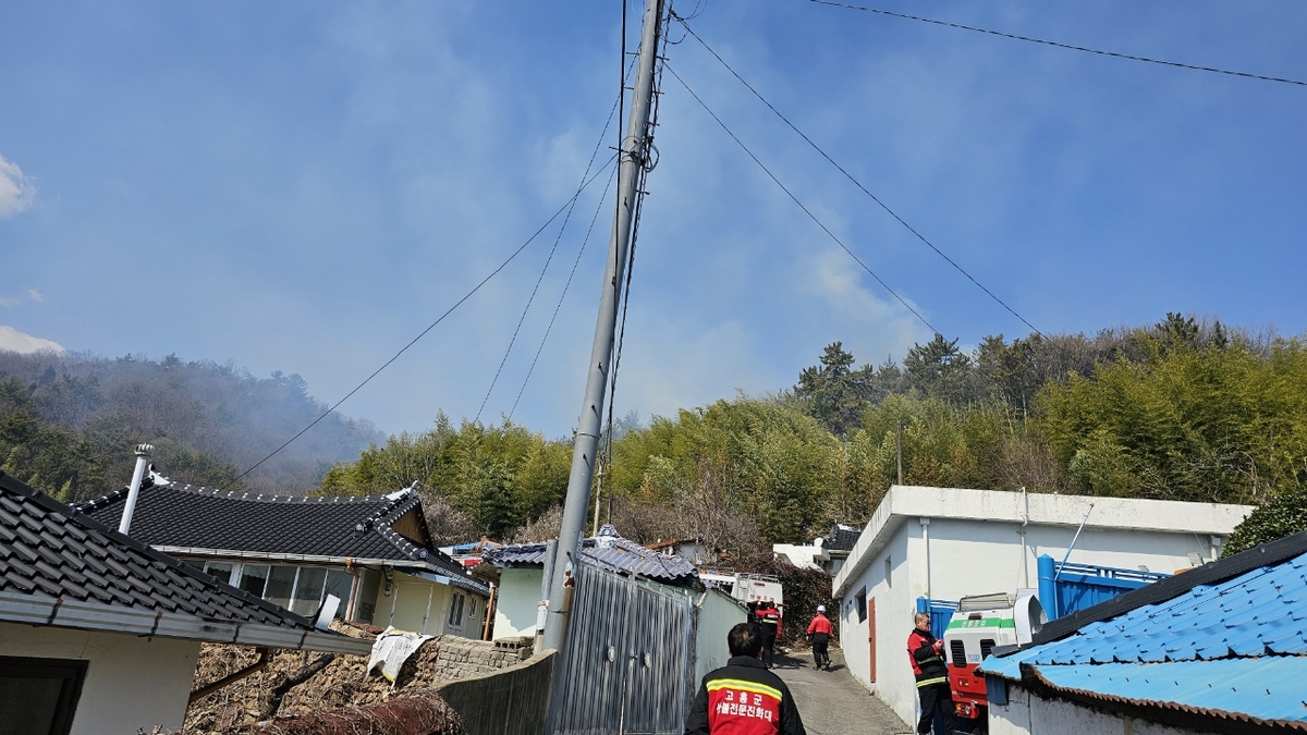 쓰레기 소각 불씨에 대나무밭 화재…일부 주민 대피