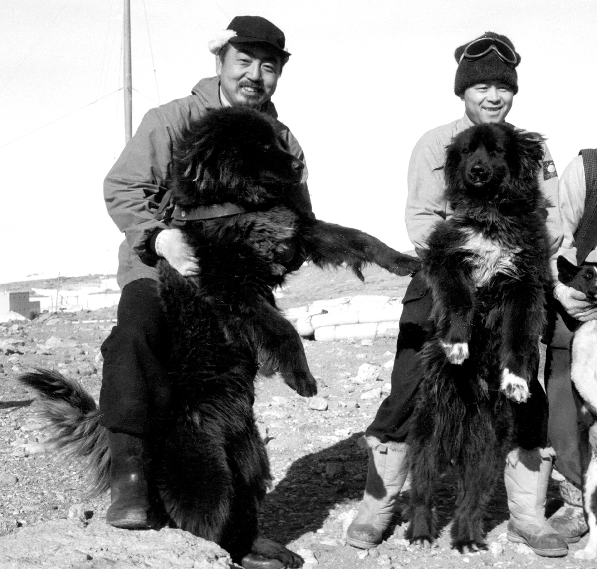 [신간] 남극서 살아남은 개들…'그 개의 이름은 아무도 모른다'