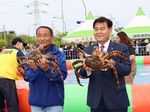 "킹크랩·대게 먹으려면 어디로?…동해로 오세요"