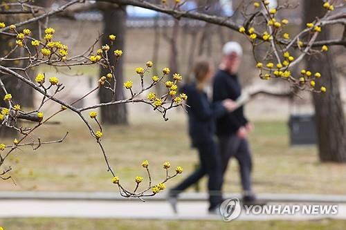 대전·세종·충남 대체로 맑고 낮 '포근'…큰 일교차 주의