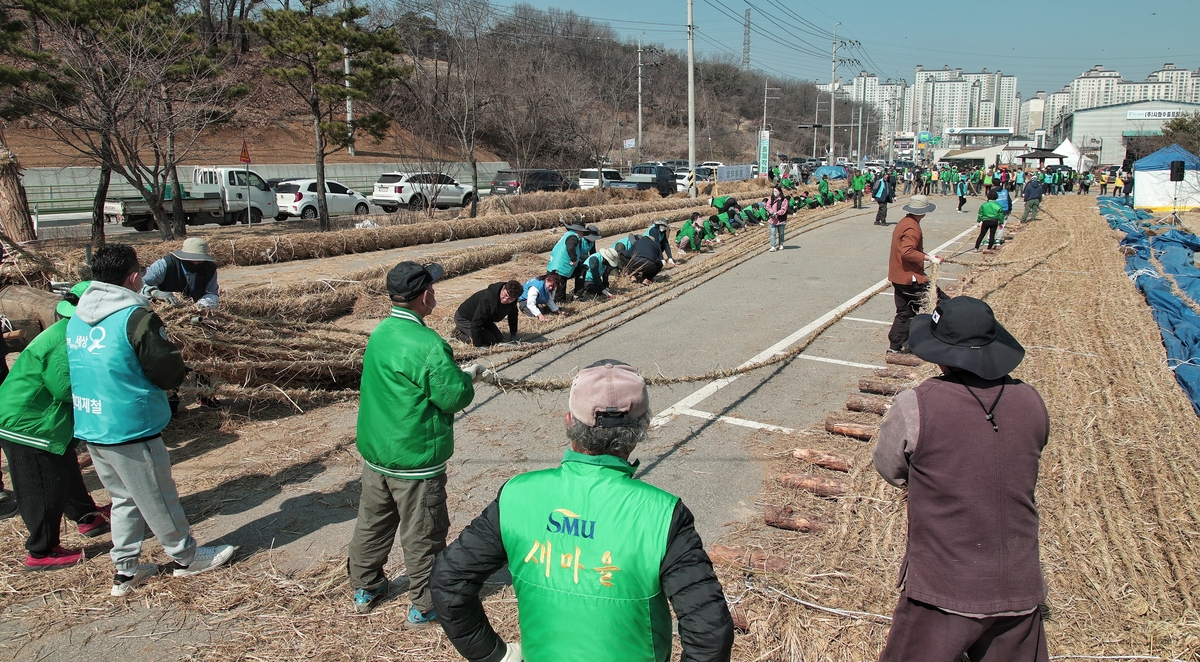 다음 달 기지시줄다리기 축제 때 쓸 큰줄 제작 완료