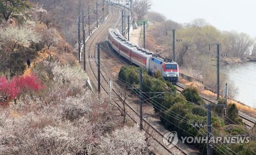 KTX 타고 미나리·매화·벚꽃 즐겨요…양산시 '봄 시티투어'