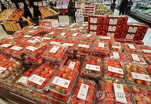 대형마트 과일매출 1위는 '딸기'…국민과일 사과는 2위