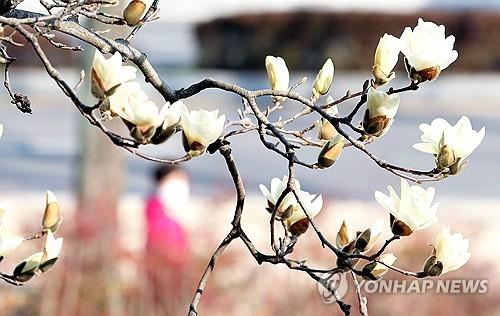 전북 맑다가 오후부터 흐려져…낮 기온 18∼21도