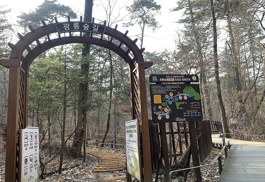 "550년 보존된 천연림 감상하세요"…광릉숲 산책길 800ｍ 재개방