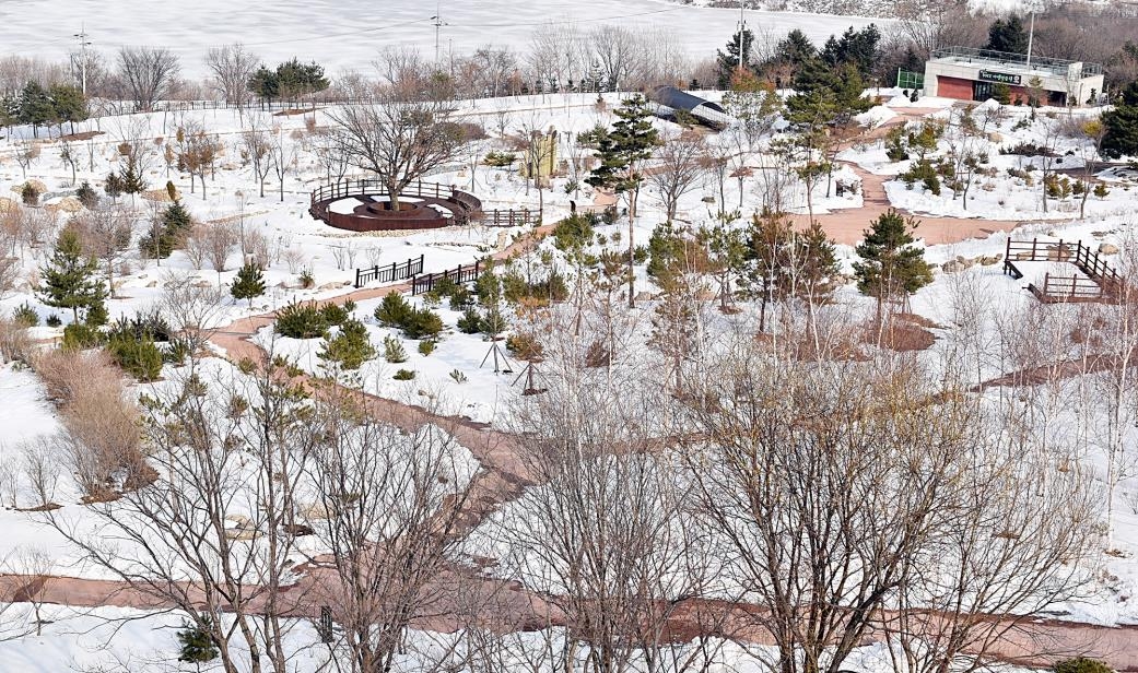 최북단 DMZ 자생식물원 19일부터 재개방
