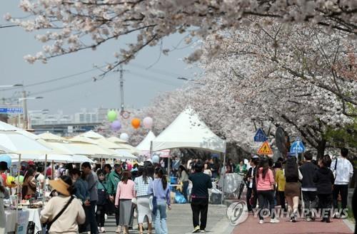 청주 푸드트럭축제 1주 연기…"우천·벚꽃 개화 지연"