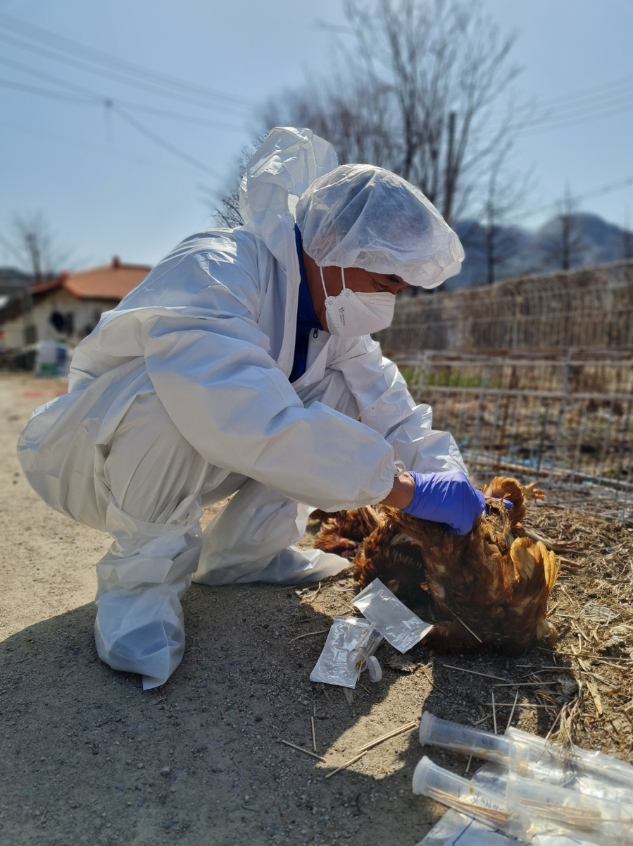 경기도, 퇴직 가축방역관 활용 사회공헌사업 추진