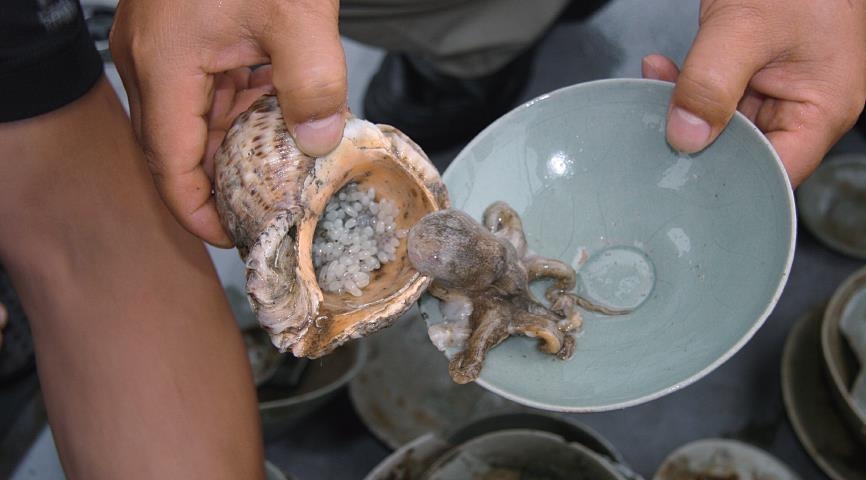 두꺼비 벼루·사자 향로…태안 바다서 찾은 '보물' 서울 나들이