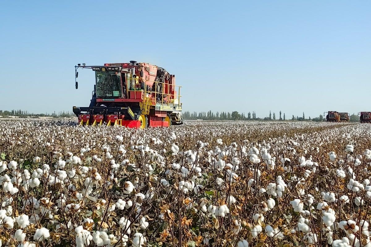 "中신장 인권탄압 제재" 외친 EU, 1∼2월 신장산 수입 218% ↑