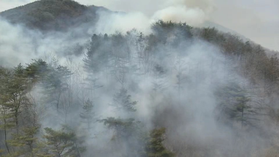 무심코 버린 나뭇재 산불로 번져…보은서 국유림 0.8㏊ 타