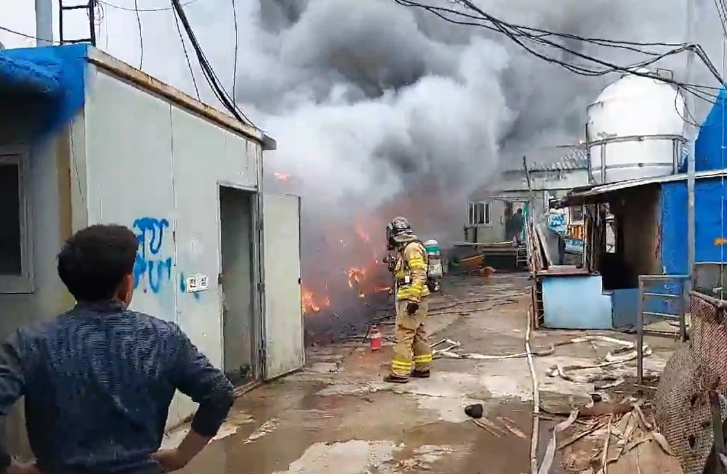 익산 돼지우리에서 불…990마리 폐사