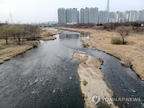 서울 송파구 탄천 인근 공터서 불…1명 사망