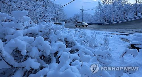 강원 횡성·평창에 대설주의보