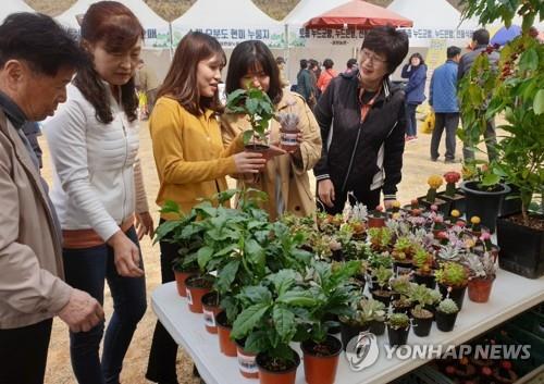 "비 그치면 나무 심어볼까" 옥천묘목축제 29일 개막