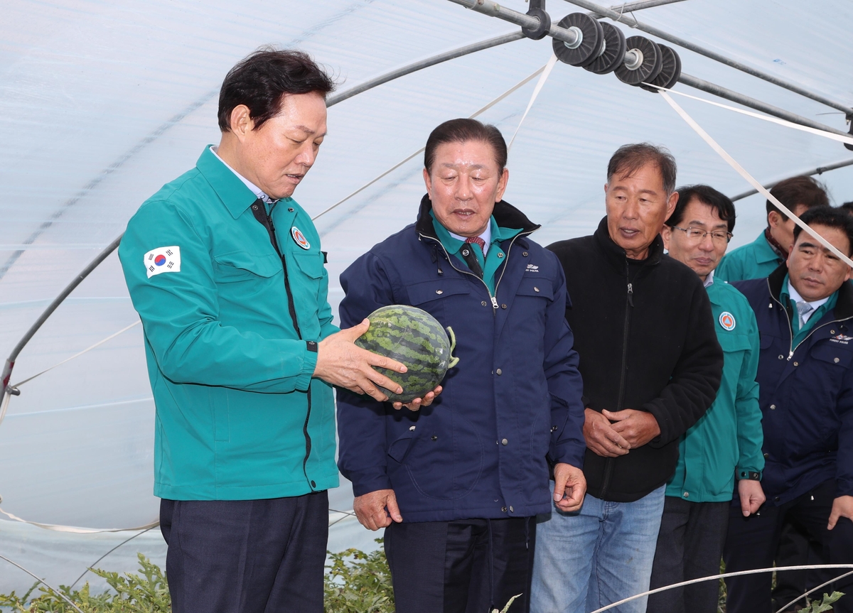 경남도, 생산량 1위 겨울수박·깻잎 일조량 부족 피해 지원