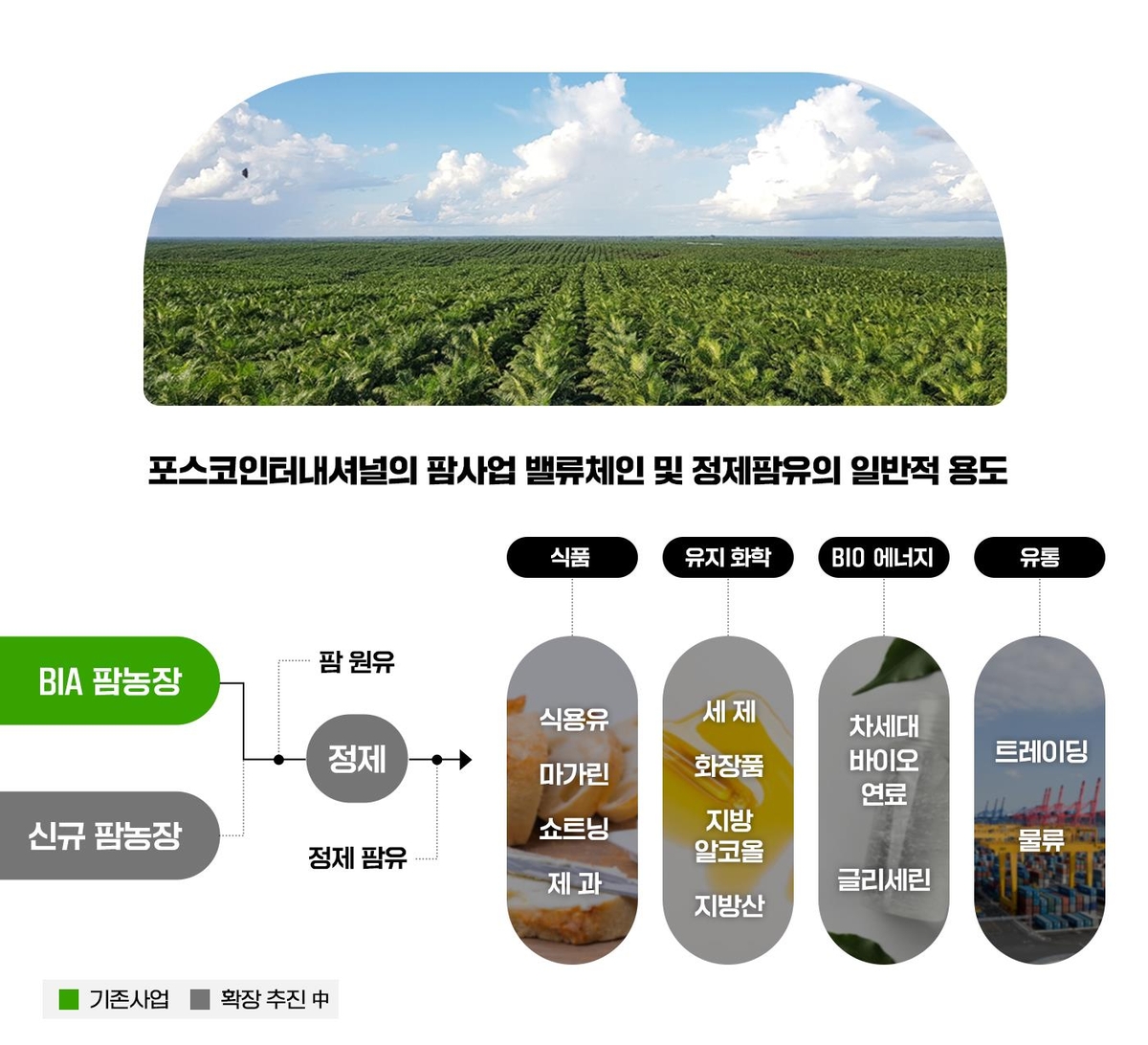 포스코인터 '팜사업' 매출 2천억원·영업이익률 33% 규모로 성장