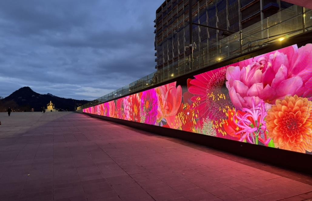 광화문 해치마당, 빛 담은 꽃길로 물들다…'개화' 미디어아트