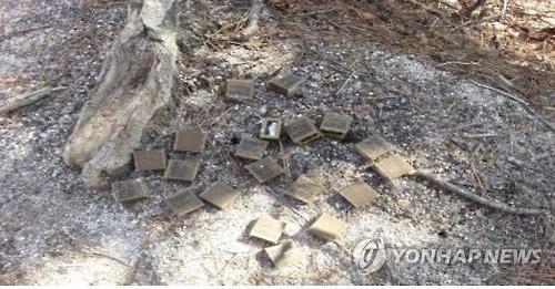 강원도, DMZ 포함 18개 시군서 광견병 방역사업 추진
