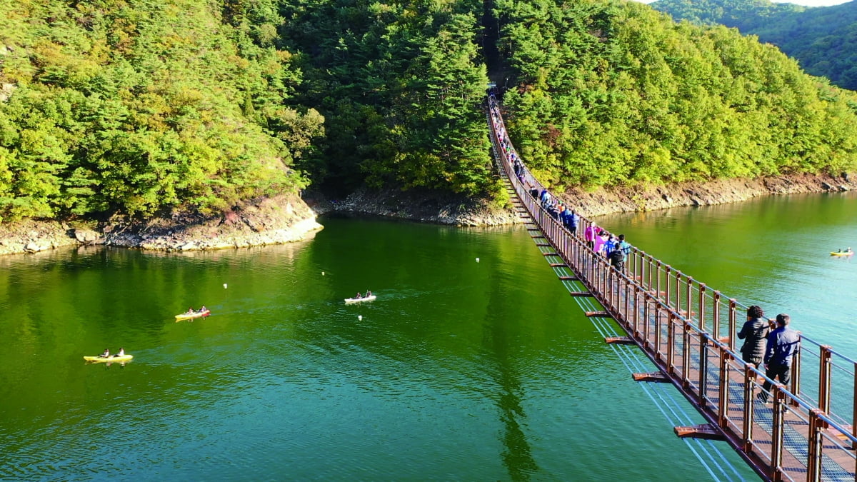 충북 제천 옥순봉 출렁다리