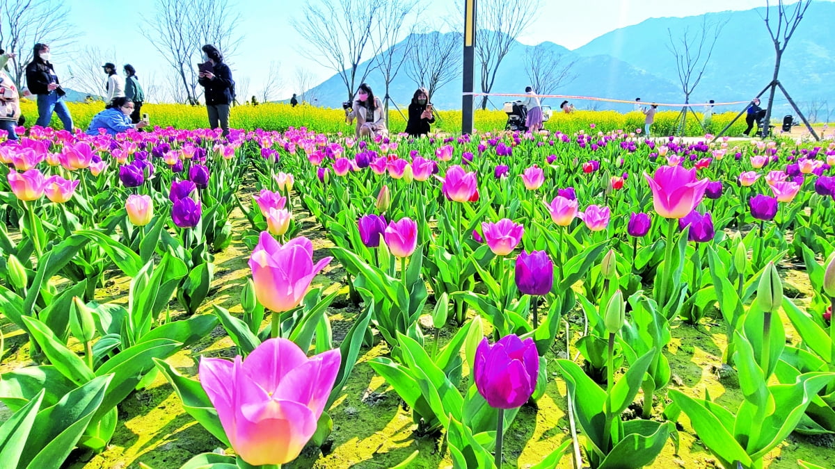 경남 양산 황산공원