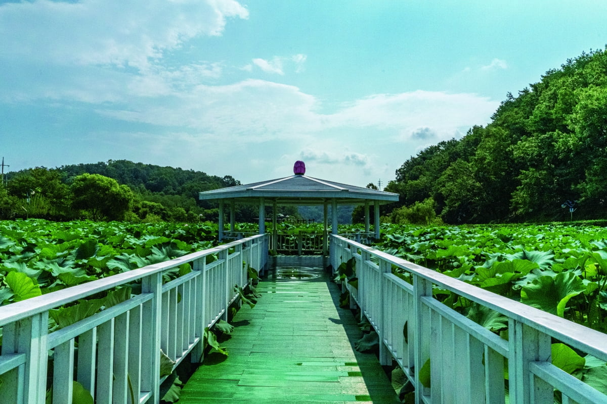 울산 선암호수공원