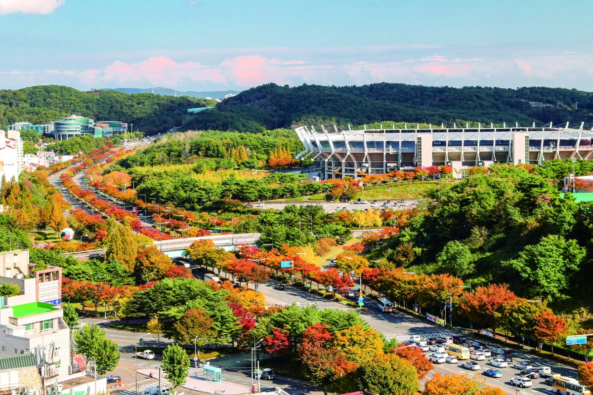 울산체육공원 가을단풍