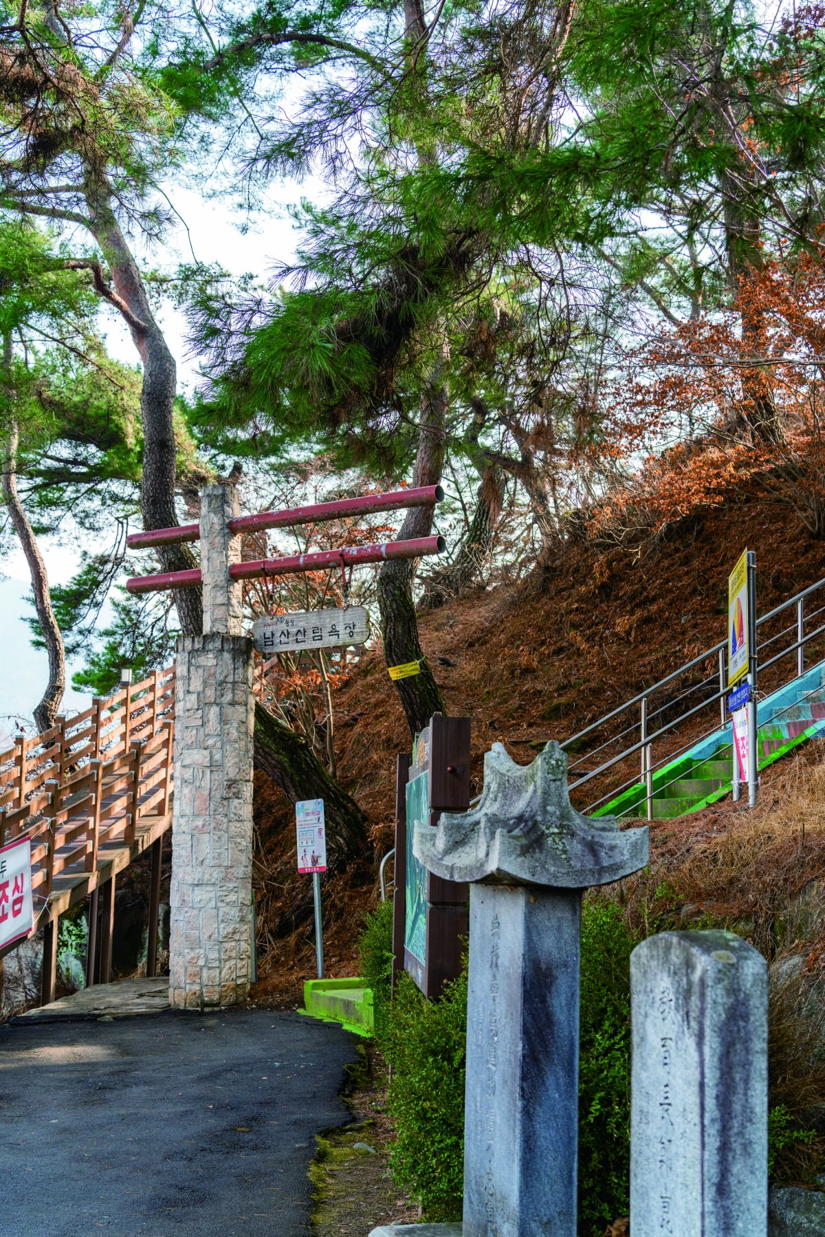 강원 평창 남산산림욕장