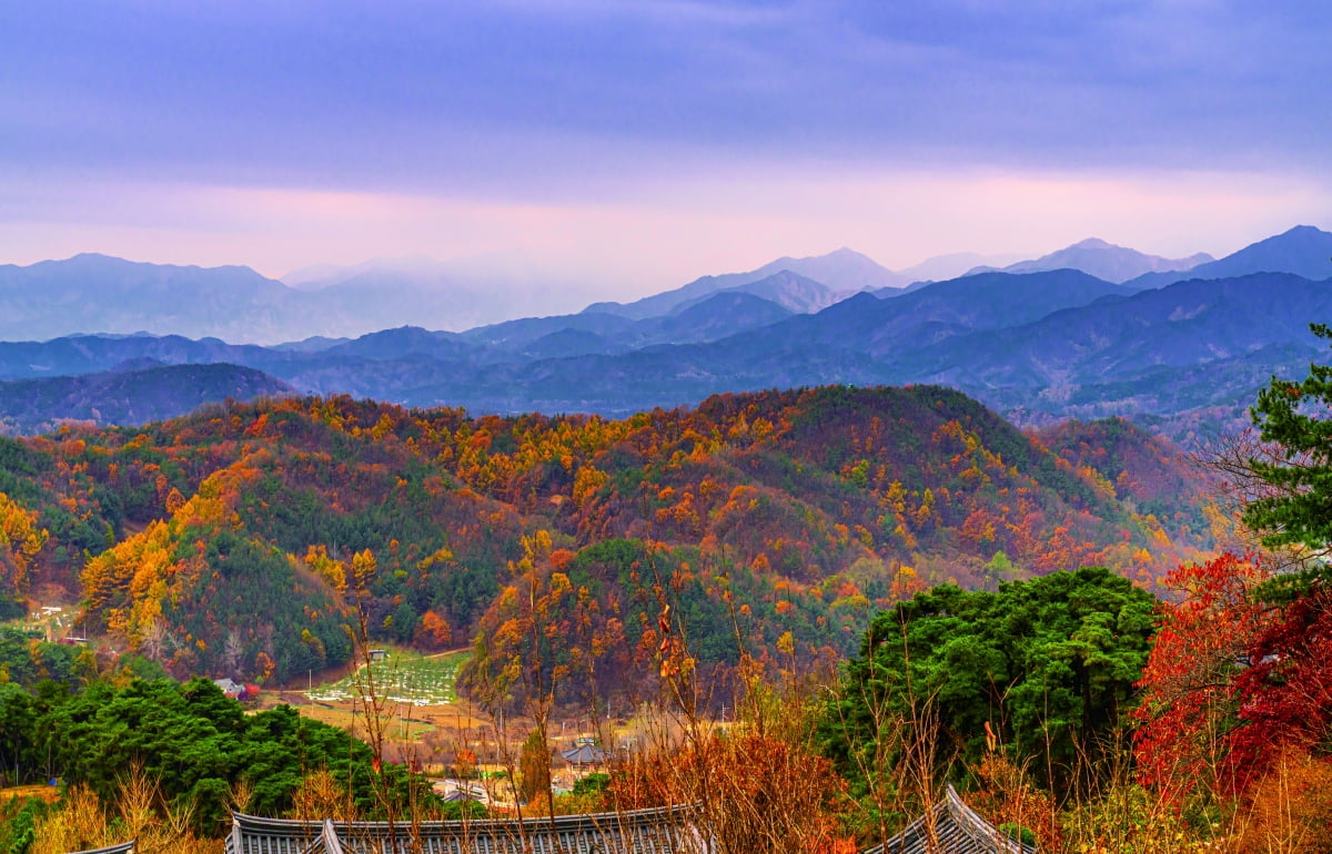 경북 영주 소백산자락길