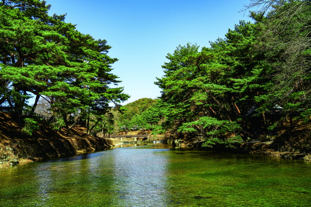 경북 영주 소수서원둘레길