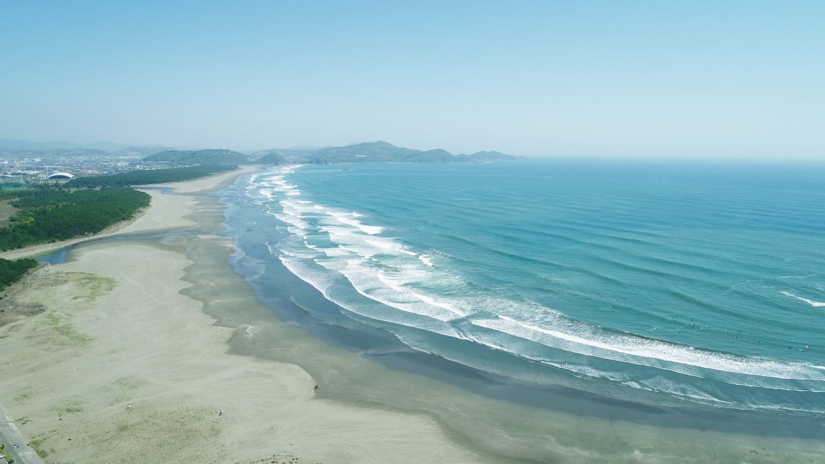 태평양과 마주하는 휴양도시로 야자수와 해안도로가 이국적인 감성을 주는 미야자키현.
