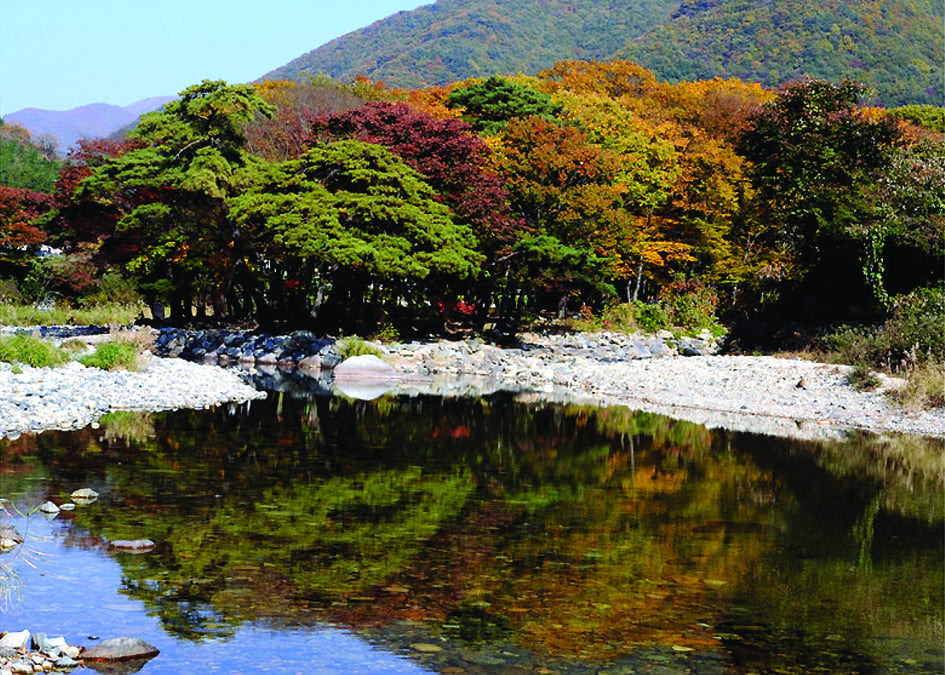 경남 양산 배내골