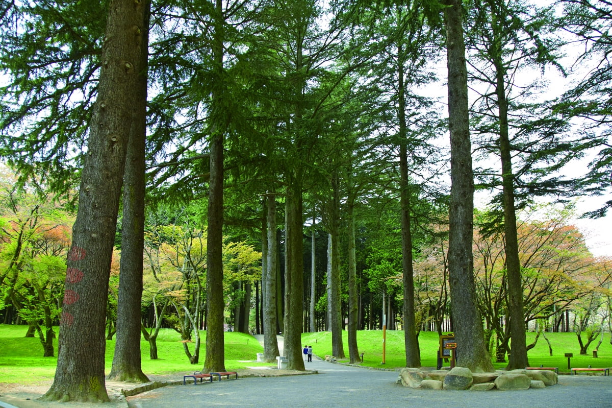 경남 양산 법기수원지