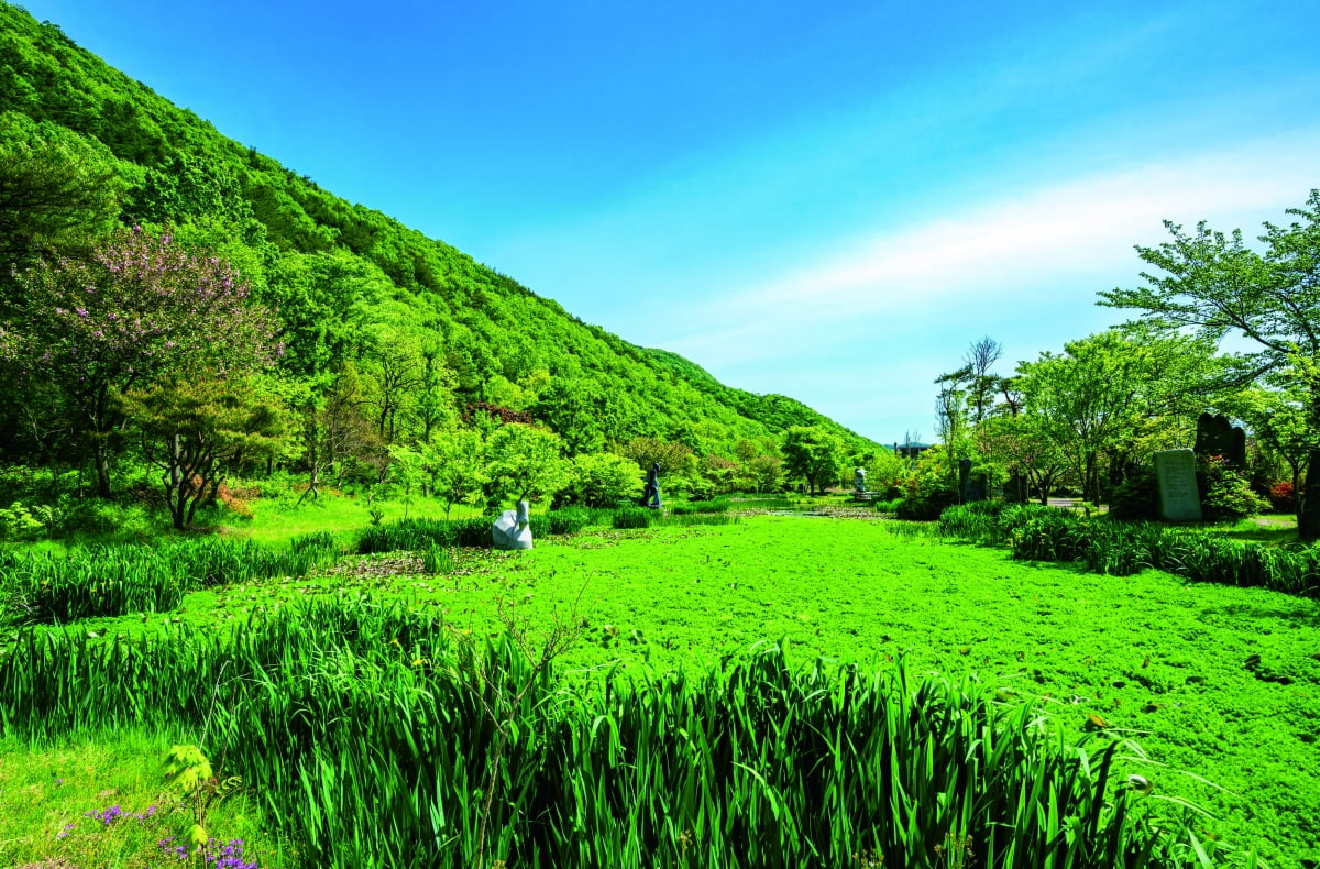 충남 보령 개화예술공원