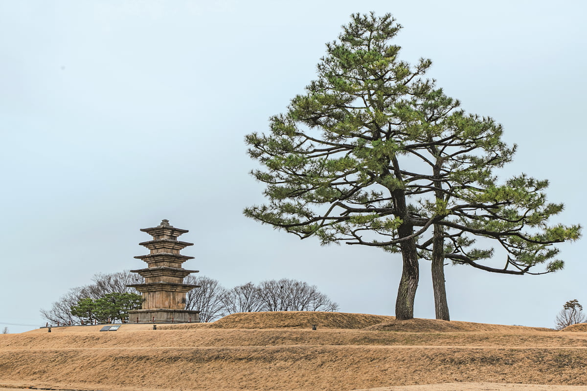 익산이 백제 말기 경영과 정치, 경제, 문화의 중심이었음을 보여주는 왕궁리 유적.