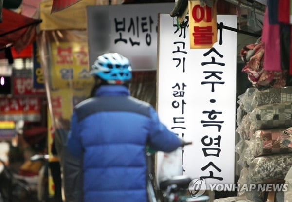 "먹을 권리 빼앗겼다"…'개식용 금지법' 헌법소원
