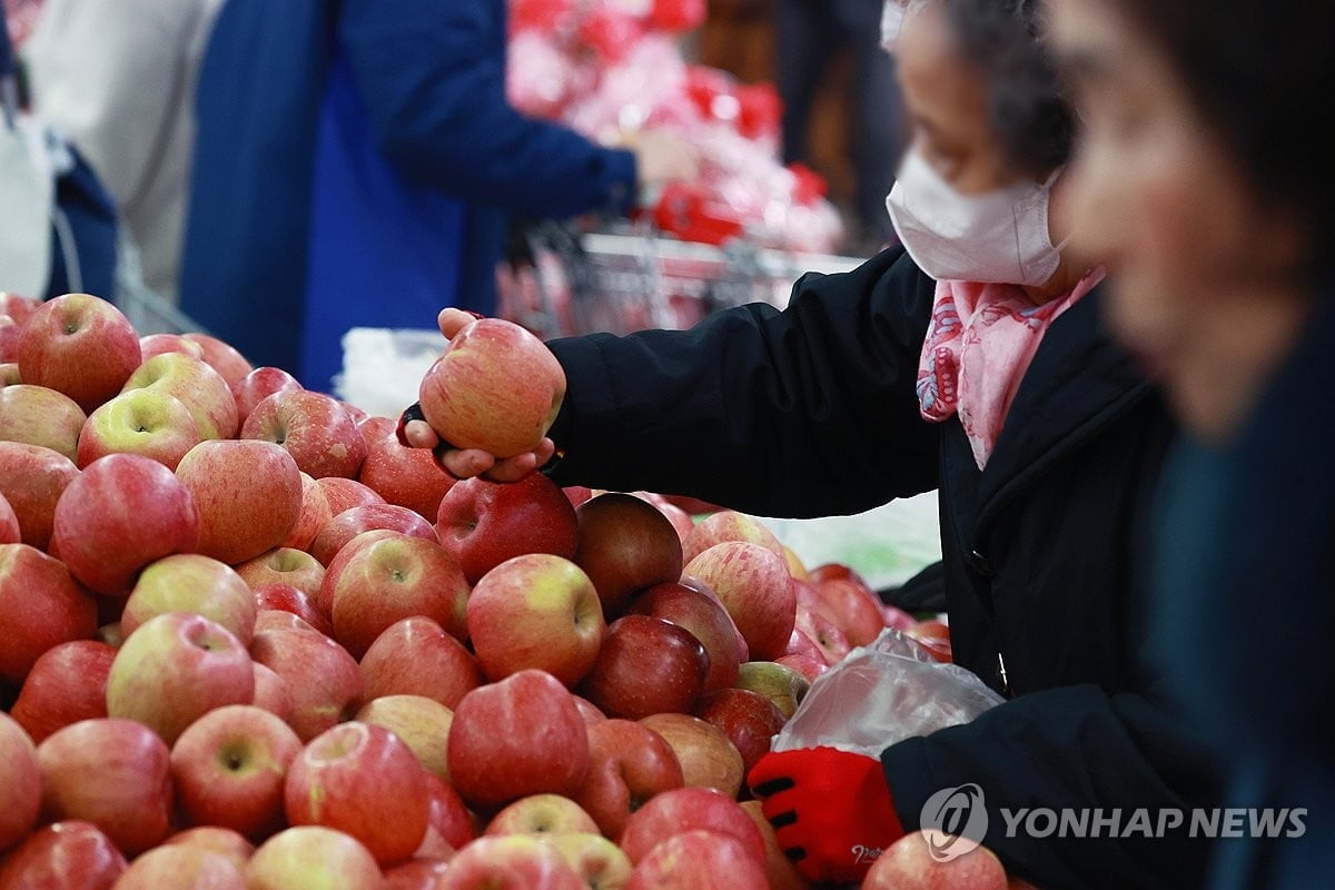 "금사과, 수입 좀"...쉽사리 못하는 속사정