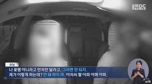 "꽃뱀 아니니 만져달라"…택시기사 성추행한 20대女