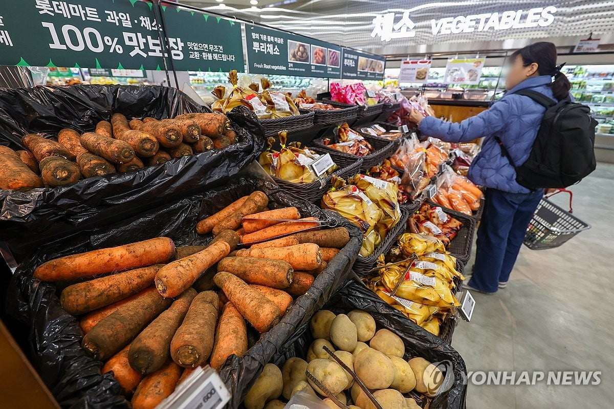 장 보기 무섭다…배추 26% 상승