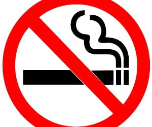 건강에 '덜' 해로운 담배가 있다?