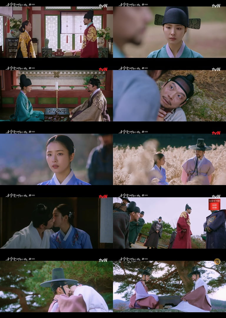 tvN ‘세작, 매혹된 자들’