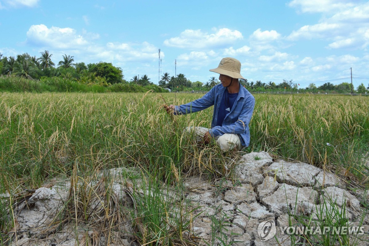 베트남, 해수면 상승으로 농작물 피해 심화…"연간 4조원 규모"