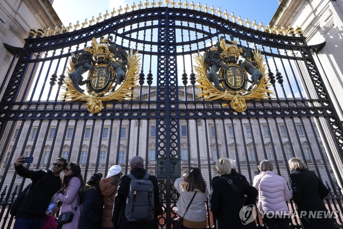 "英국왕 이어 왕세자빈 음모론도 러 가짜뉴스 단체가 키워"