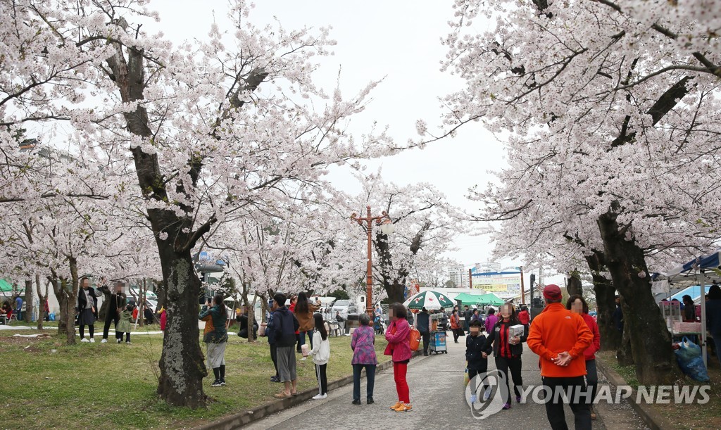 "봄이다, 동해로" 봄기운 만끽 축제·행사 풍성